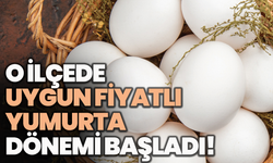 O ilçede uygun fiyatlı yumurta dönemi yeniden başladı!