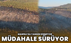 Manisa'da yangın dinmiyor, müdahale sürüyor
