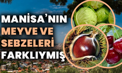 Manisa’nın meyve ve sebzeleri farklıymış! Evliya Çelebi yıllar önce tek tek not etmiş