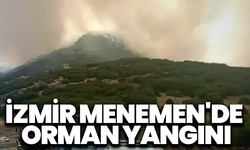 İzmir Menemen'de orman yangını çıktı