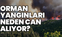 5 saniyede cehenneme döndü: Orman yangınları neden can alıyor?