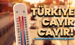 "Türkiye cayır cayır! Termometre 50.5 dereceyi gösterdi, rekor kırıldı"
