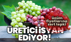 Üretici isyan ediyor! Iskarta üzüm fiyatlarına sert tepki