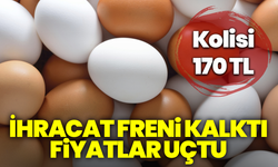İhracat freni kalktı, fiyatlar uçtu: Yumurta kolisi 170 TL’ye dayandı