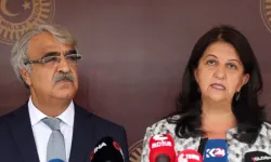 DEM Parti İmralı heyetinden yazılı açıklama