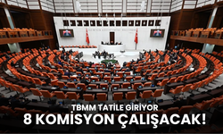TBMM tatile giriyor: 8 komisyon çalışacak