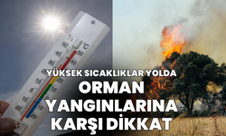 Türkiye geneline uyarı: Orman yangını riski var!