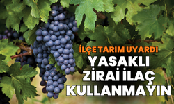 Akhisar bağcılarını uyardı: “Yasaklı zirai ilaç kullanmayın!”