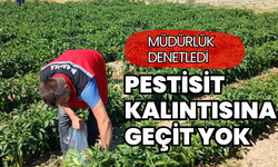 Manisa’da hasat öncesi sıkı denetim: Pestisit kalıntısına geçit yok