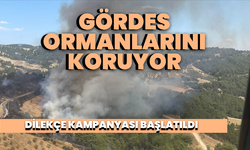 Gördes ilçesini koruyor: Dilekçe kampanyası başlatıldı!