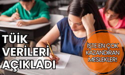 Tercih yapacaklar dikkat! TÜİK listeyi açıkladı: İşte istihdam oranı en yüksek meslekler