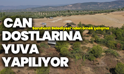 Saruhanlı’nın can dostlarına yuva kuruluyor
