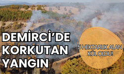Demirci’de korkunç yangın: 5 hektarlık alan kül oldu!