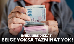 Emeklilere dikkat: O belge olmadan tazminat alınamıyor!
