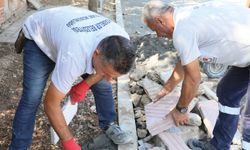 Şehzadeler’de bakım ve yenileme çalışmaları