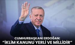 Cumhurbaşkanı Erdoğan'dan İklim Kanunu açıklamaları