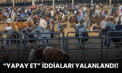 Hayvan pazarı ve yapay et üretimi iddiaları yalanlandı