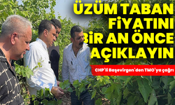 CHP’li Başevirgen’den TMO’ya çağrı: Üzüm taban fiyatını bir an önce açıklayın
