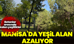Betonlar arasında kalan yeşillikler: Manisa’da yeşil alan azalıyor