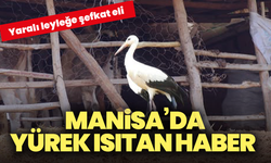 Manisa’da yürek ısıtan haber: Yaralı leyleğe şefkat eli