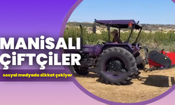 Manisalı çiftçinin mor traktörü, tarıma renk kattı