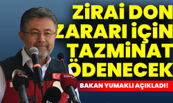 Bakan Yumaklı açıkladı! Zirai don zararı için tazminat ödenecek