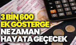 3 bin 600 ek gösterge için bekleyiş sürüyor: Ne zaman hayata geçecek?