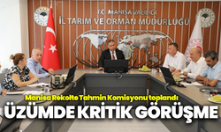 Üzümde kritik görüşme: Manisa rekolte tahmin komisyonu toplandı