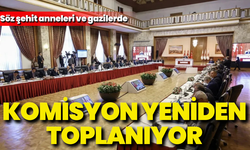 Komisyon bugün toplanıyor: Söz şehit anneleri ve gazilerde!