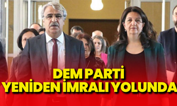 DEM Parti yeniden İmralı yolunda
