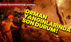 Orman Genel Müdürlüğü’nden açıklama: “Orman yangınları için mücadelemizi sürdürüyoruz”
