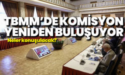 TBMM’de komisyon yeniden buluşuyor: Neler konuşulacak?