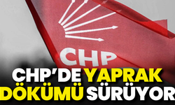 CHP’den peş peşe istifalar geliyor: İki meclis üyesi daha AK Parti’ye katıldı!