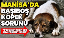 Manisa’da başıboş köpek sorunu: “Çocuklarımızın can güvenliği için tehdit”