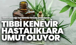 Tıbbi kenevir bu hastalıklara umut olacak: Liste açıklandı!
