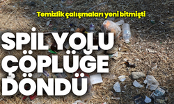 Temizlenen çöpler geri geldi: Spil yolunda korkunç manzara