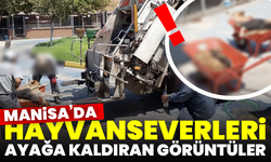 Manisa’da Hayvanseverleri Ayağa Kaldıran Görüntüler