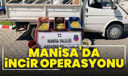 Manisa’da incir operasyonu: Hırsızlar suçüstü yakalandı