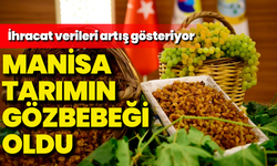 Manisa tarımın gözbebeği oldu: İhracat verileri artış gösteriyor