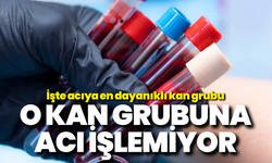 O kan grubuna acı işlemiyor: İşte acıya en dayanıklı kan grubu