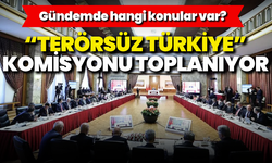 "Terörsüz Türkiye" Komisyonu toplanıyor: Gündemde hangi konular var?