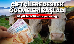 Çiftçilere destek ödemeleri başladı: Büyük bir bölümü hayvancılığa