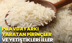 Pilavda farkı yaratan pirinçler ve yetiştikleri iller