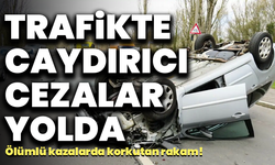 Abdullah Güler açıkladı! Trafikte caydırıcı cezalar kapıda