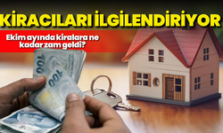 Kiracıları ilgilendiriyor: Ekim ayında kiralara ne kadar zam geldi?
