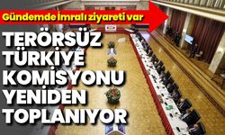 Terörsüz Türkiye komisyonu yeniden toplanıyor: Gündemde İmralı ziyareti var