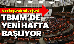 TBMM’de yeni hafta başlıyor: Meclis gündemi yoğun