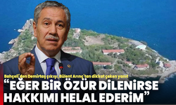 Bahçeli’den Demirtaş çıkışı, Bülent Arınç’tan dikkat çeken yanıt: “Eğer bir özür dilenirse, hakkımı helal ederim”