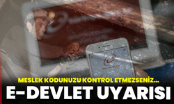 E-Devlet uyarısı: Meslek kodunuzu kontrol etmezseniz emekliliğiniz gecikebilir