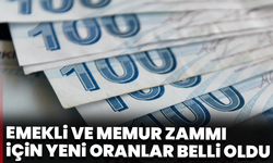 Emekli ve memur maaşları ne kadar olacak? Yeni tahminler açıklandı